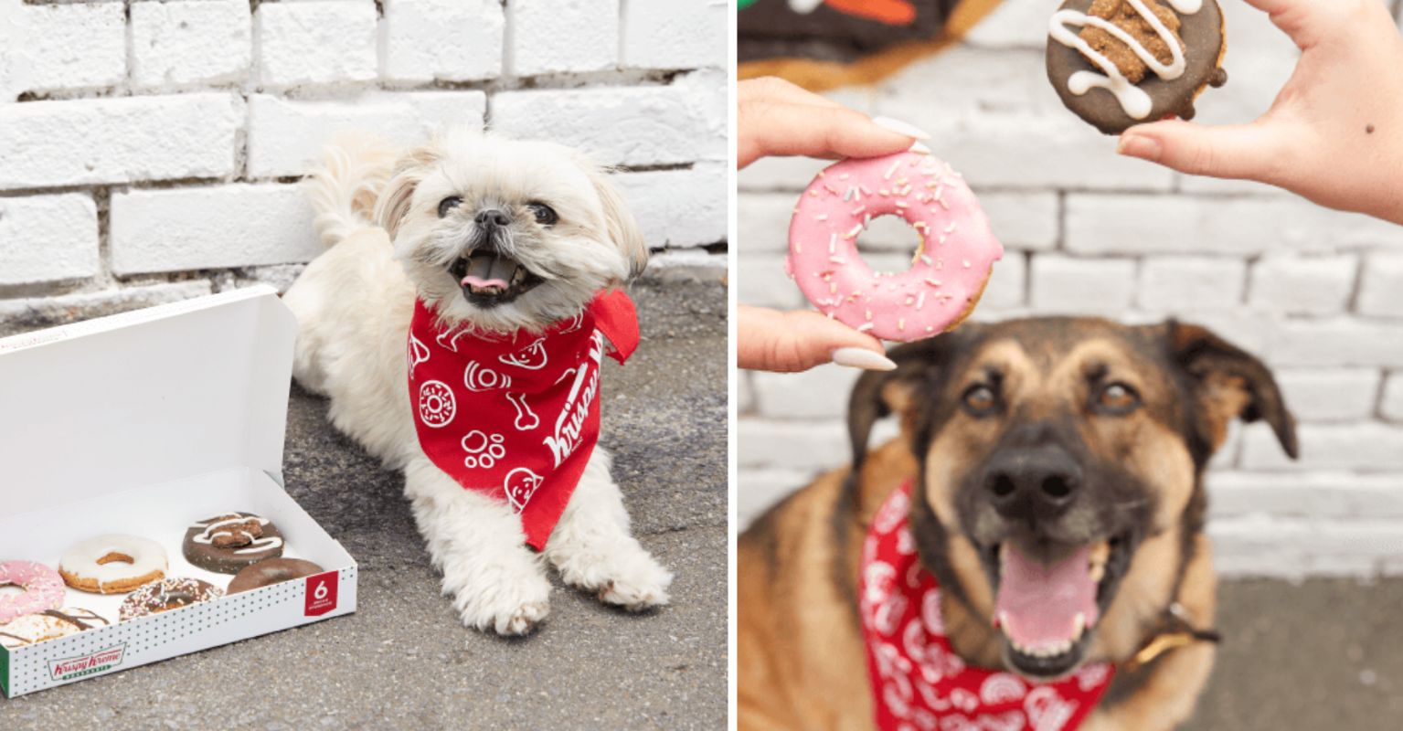 Krispy Kreme is bringing out limited edition doughnuts for dogs