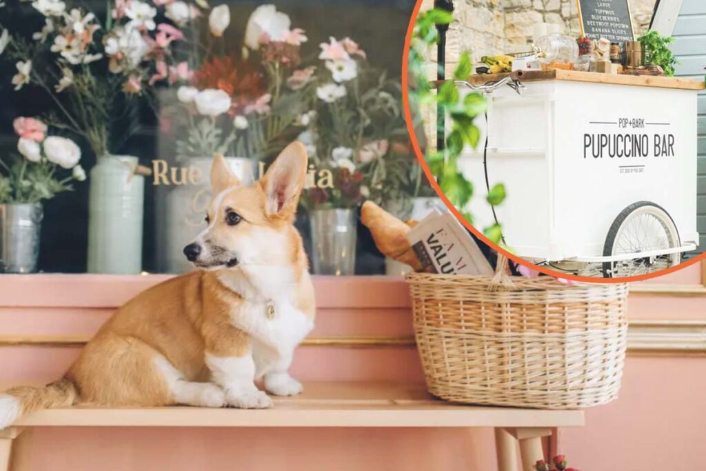 A Corgi cafe is coming to London for the Queen’s Platinum Jubilee
