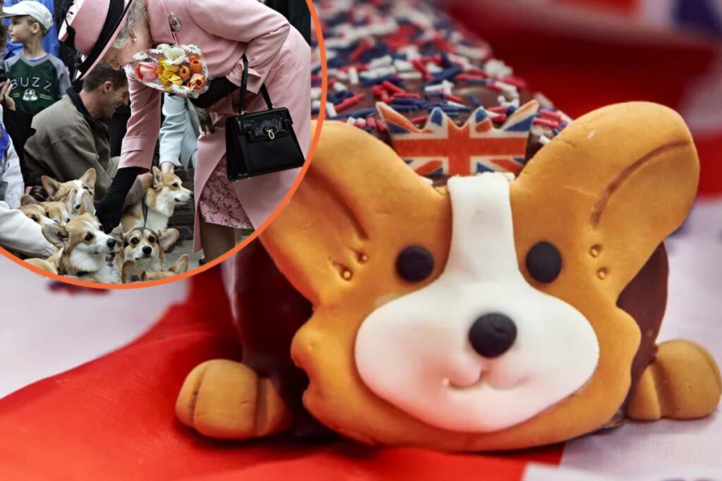 Morrisons is selling a Corgi cake for the Queen’s Platinum Jubilee