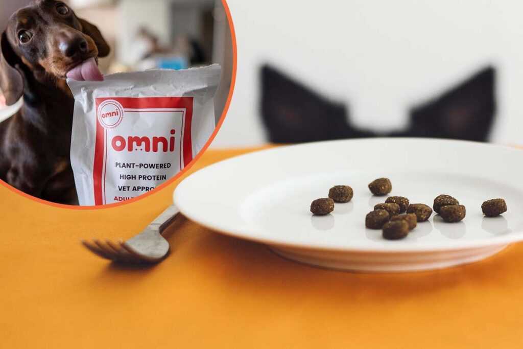 Company is looking to pay someone £5000 to eat dog food for 5 days