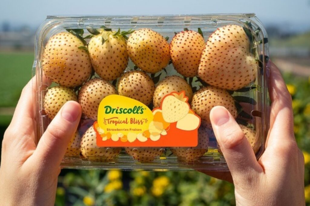 These yellow strawberries literally taste like pineapple – yes, you read that right