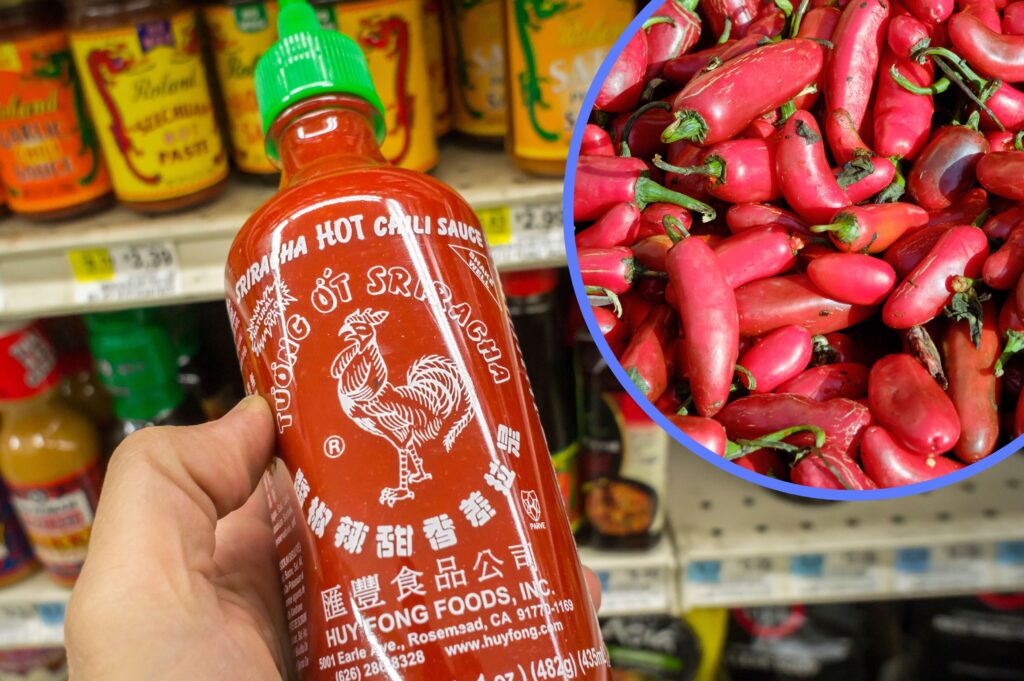 Here are the best hot sauces to buy if you’re struck by the dreaded sriracha shortage