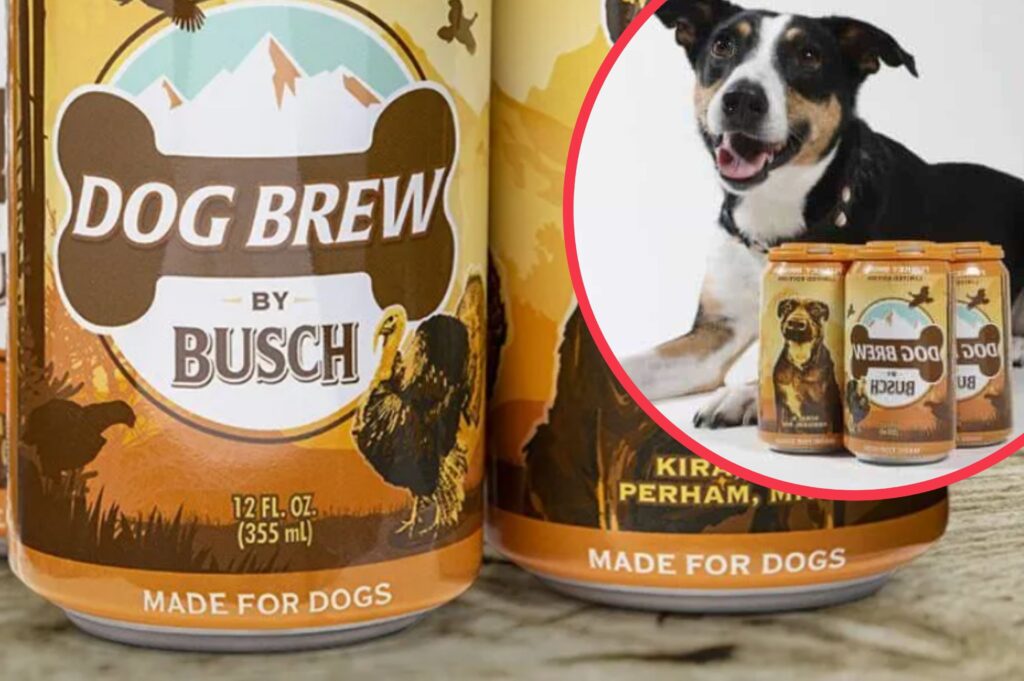 You can now buy a new beer for your dog (non alcoholic, obvs)