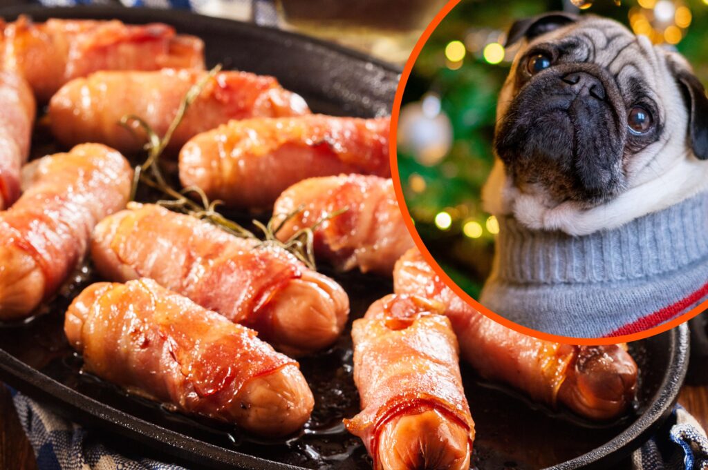You can now get pigs in blankets made especially for your dog