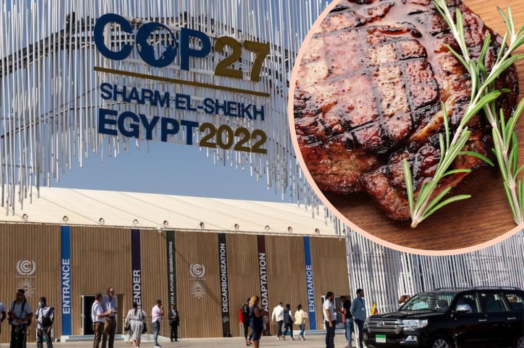 Cop27 climate summit sparks criticism for serving meat