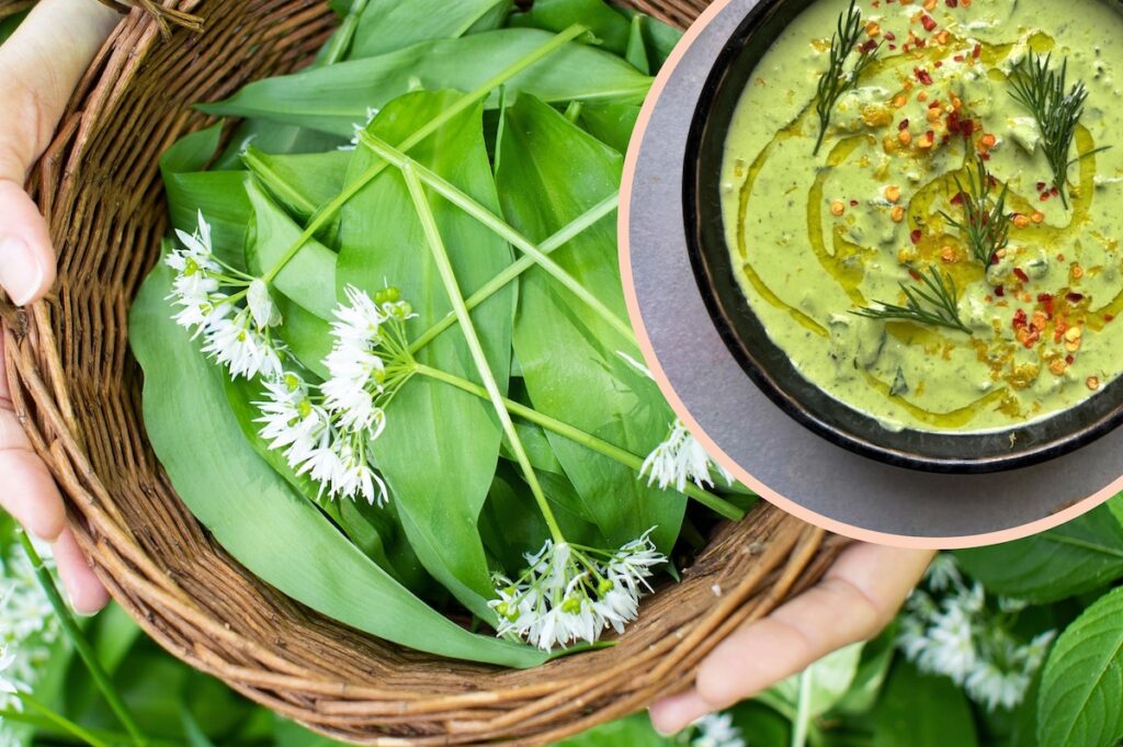 How to cook with wild garlic &#8211; a Twisted guide