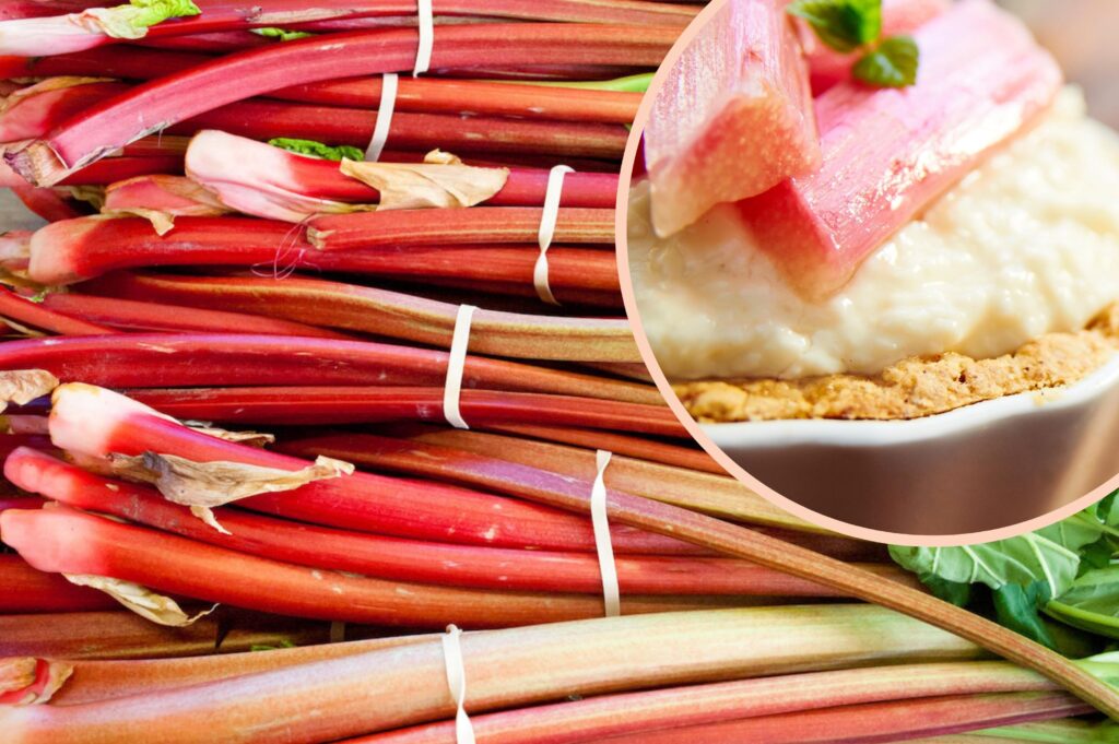 How to cook with rhubarb – a Twisted guide