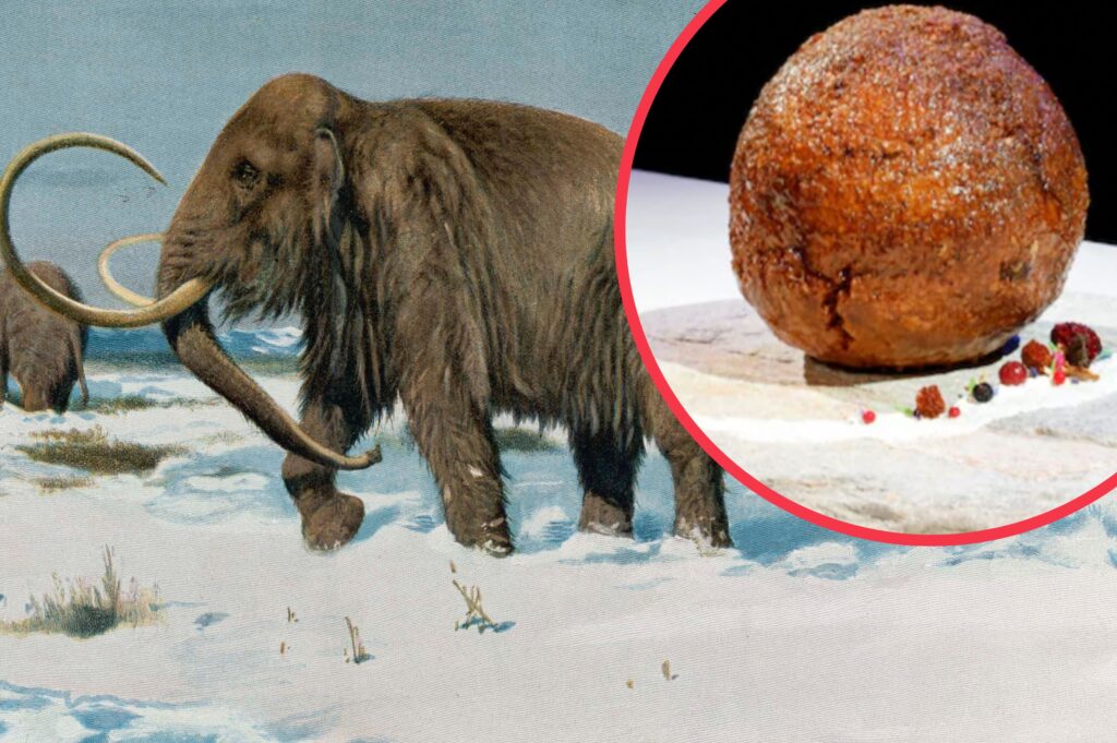 Company makes giant meatball out of lab grown mammoth meat