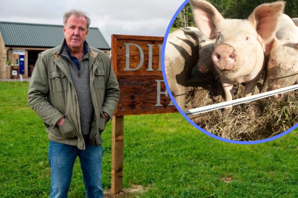 Jeremy Clarkson says he suffers ‘sleepless nights’ before sending animals to slaughter