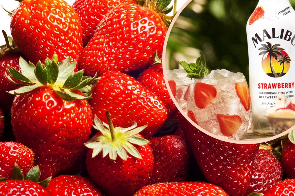 Malibu strawberry returns to UK shelves for summer