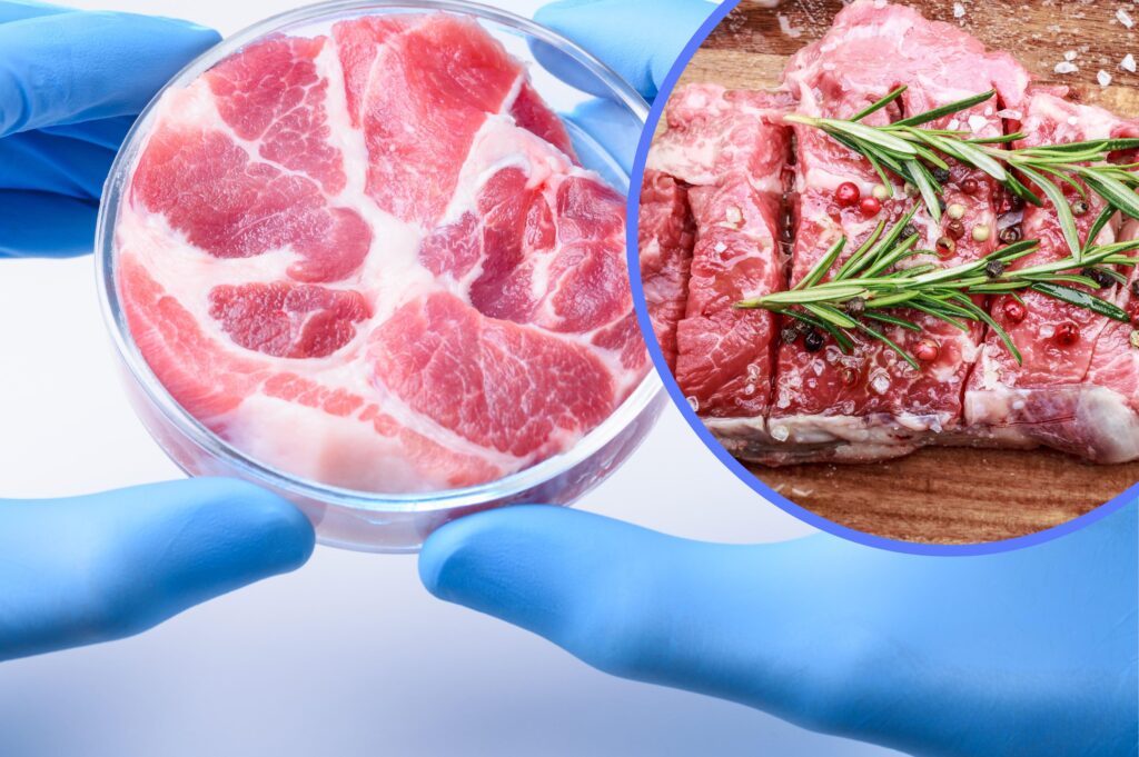 Lab-grown meat could be up to 25 times worse for the environment than beef, study says