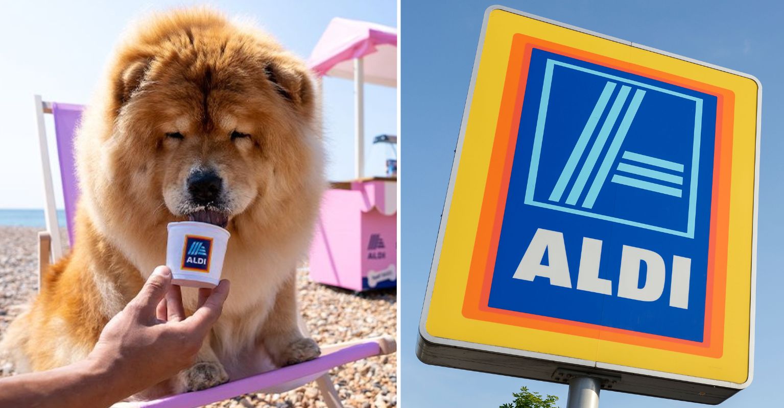 Aldi dog ice cream Supermarket relaunches doggy ice cream